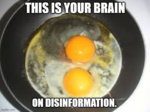 fried eggs | THIS IS YOUR BRAIN; ON DISINFORMATION. | image tagged in fried eggs | made w/ Imgflip meme maker