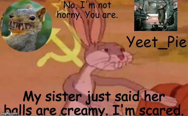 Yeet_Pie | My sister just said her balls are creamy. I'm scared. | image tagged in yeet_pie | made w/ Imgflip meme maker