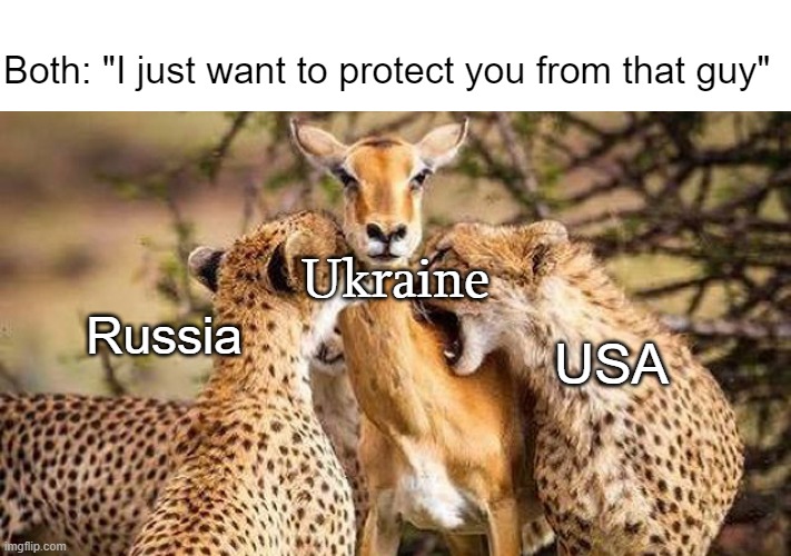 Who's going to protect me from YOU? | Both: "I just want to protect you from that guy"; Ukraine; Russia; USA | image tagged in memes,russia,ukraine | made w/ Imgflip meme maker