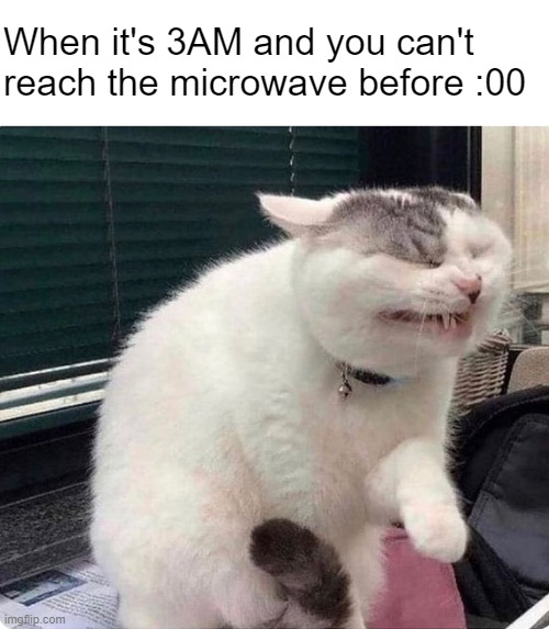 Now all of China knows you're here | When it's 3AM and you can't reach the microwave before :00 | image tagged in memes | made w/ Imgflip meme maker