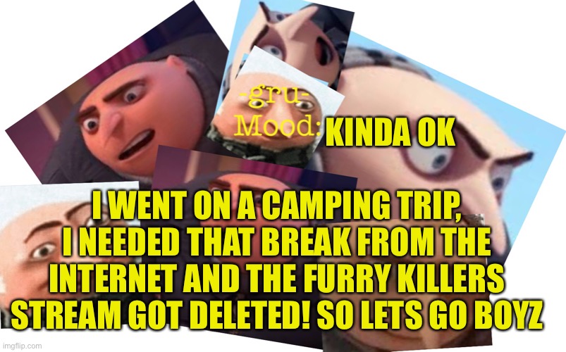 Lol they say i will pay?! Pffft as u wish |  KINDA OK; I WENT ON A CAMPING TRIP, I NEEDED THAT BREAK FROM THE INTERNET AND THE FURRY KILLERS STREAM GOT DELETED! SO LETS GO BOYZ | image tagged in -gru- template | made w/ Imgflip meme maker