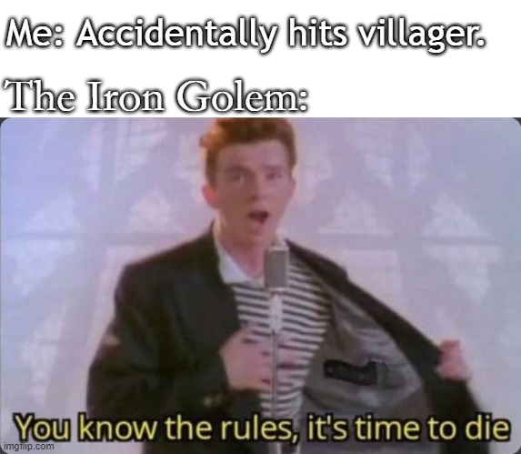 It was just an accident!!! | Me: Accidentally hits villager. The Iron Golem: | image tagged in you know the rules it's time to die | made w/ Imgflip meme maker