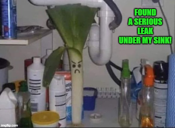 FOUND A SERIOUS LEAK UNDER MY SINK! | made w/ Imgflip meme maker