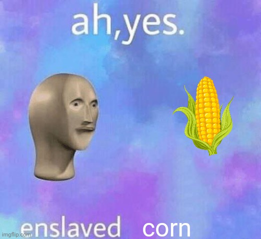 Ah Yes enslaved | corn | image tagged in ah yes enslaved | made w/ Imgflip meme maker