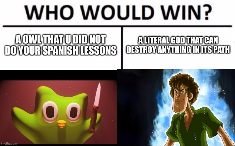 get your snacks ready for this fight XD | A OWL THAT U DID NOT DO YOUR SPANISH LESSONS; A LITERAL GOD THAT CAN DESTROY ANYTHING IN ITS PATH | image tagged in who would win,duolingo bird,ultra instinct shaggy | made w/ Imgflip meme maker