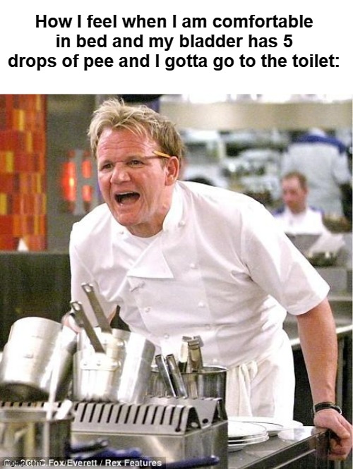 true | How I feel when I am comfortable in bed and my bladder has 5 drops of pee and I gotta go to the toilet: | image tagged in memes,chef gordon ramsay | made w/ Imgflip meme maker