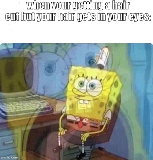 when your getting a hair cut but your hair gets in your eyes: | image tagged in spongebob screaming inside | made w/ Imgflip meme maker