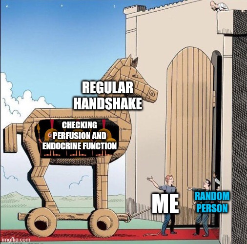 Haha | REGULAR HANDSHAKE; CHECKING PERFUSION AND ENDOCRINE FUNCTION; RANDOM PERSON; ME | image tagged in trojan horse,medicine | made w/ Imgflip meme maker
