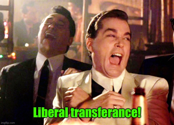 Good Fellas Hilarious Meme | Liberal transferance! | image tagged in memes,good fellas hilarious | made w/ Imgflip meme maker