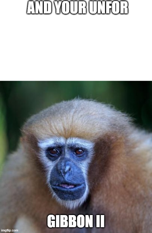Unforgibbon II | AND YOUR UNFOR; GIBBON II | image tagged in gibbon,heavy metal,metalica | made w/ Imgflip meme maker