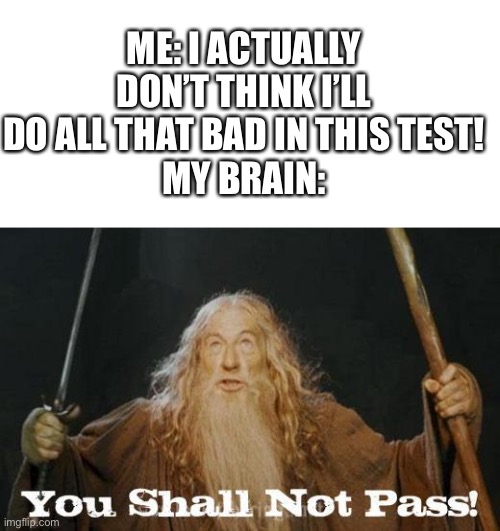 Ha | ME: I ACTUALLY DON’T THINK I’LL DO ALL THAT BAD IN THIS TEST!
MY BRAIN: | image tagged in gandalf you shall not pass,memes,i did your mom what do you think of that | made w/ Imgflip meme maker