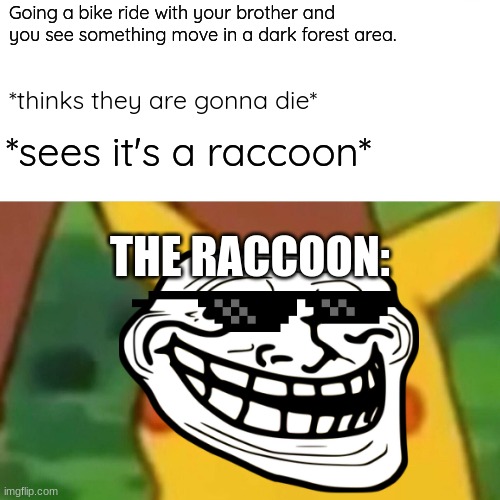 ATtAcK oF dA RaCcOoN | Going a bike ride with your brother and you see something move in a dark forest area. *thinks they are gonna die*; *sees it's a raccoon*; THE RACCOON: | image tagged in memes,troll face,surprised pikachu | made w/ Imgflip meme maker