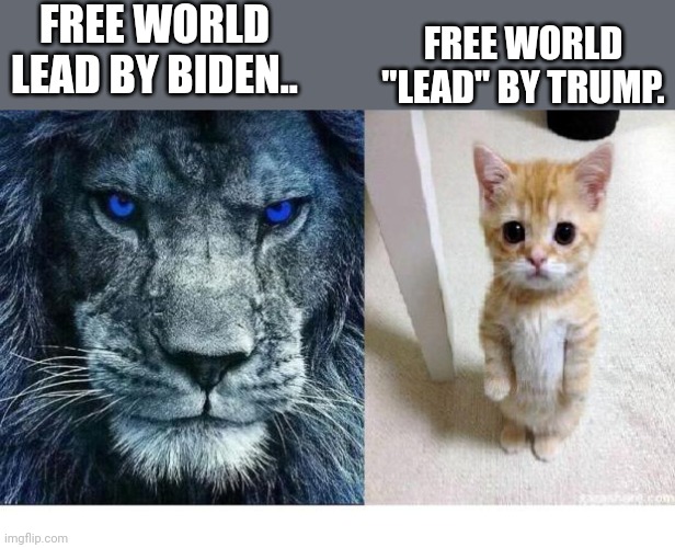Pussident trump vs Bidenator | FREE WORLD LEAD BY BIDEN.. FREE WORLD "LEAD" BY TRUMP. | image tagged in conservative,republican,biden,trump,ukraine,putin | made w/ Imgflip meme maker