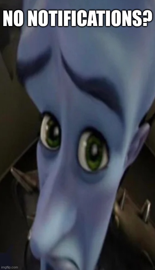 i came online with no notifs | NO NOTIFICATIONS? | image tagged in no bitches | made w/ Imgflip meme maker