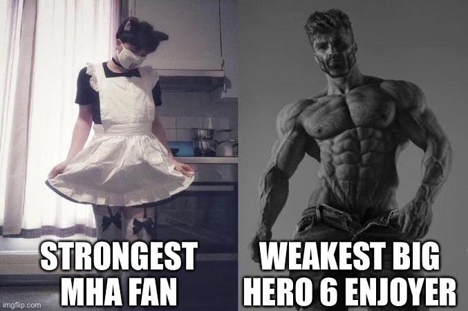 Strongest Fan VS Weakest Fan | STRONGEST MHA FAN; WEAKEST BIG HERO 6 ENJOYER | image tagged in strongest fan vs weakest fan | made w/ Imgflip meme maker