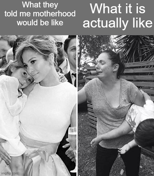 What it is actually like; What they told me motherhood would be like | image tagged in funny | made w/ Imgflip meme maker