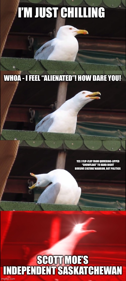 inhaling-seagull-meme-imgflip