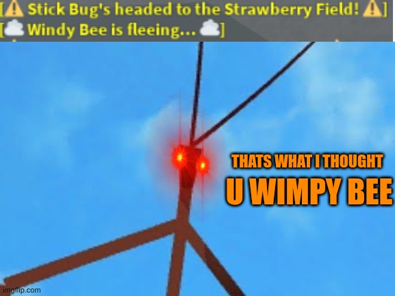Get Stick Bugged WINDY BEE | THATS WHAT I THOUGHT; U WIMPY BEE | image tagged in get stick bugged lol,get,stick,bug,lol,windy | made w/ Imgflip meme maker