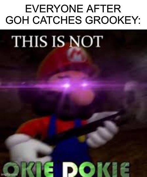 Ash should have caught it, he needed a galar starter | EVERYONE AFTER GOH CATCHES GROOKEY: | image tagged in this is not okie dokie,pokemon | made w/ Imgflip meme maker