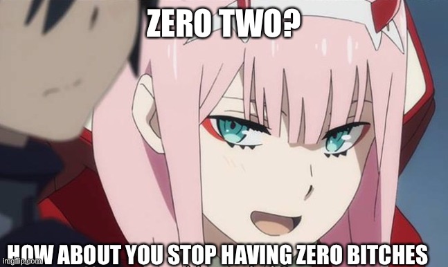ZERO TWO? HOW ABOUT YOU STOP HAVING ZERO BITCHES | image tagged in anime | made w/ Imgflip meme maker