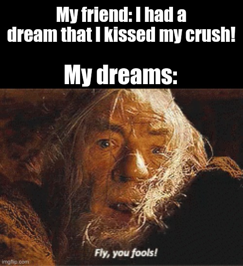 My friend: I had a dream that I kissed my crush! My dreams: | image tagged in memes | made w/ Imgflip meme maker