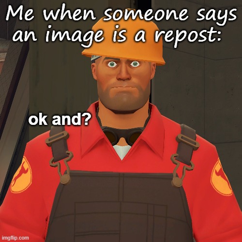 Like I really don't care | Me when someone says an image is a repost: | image tagged in ok and | made w/ Imgflip meme maker