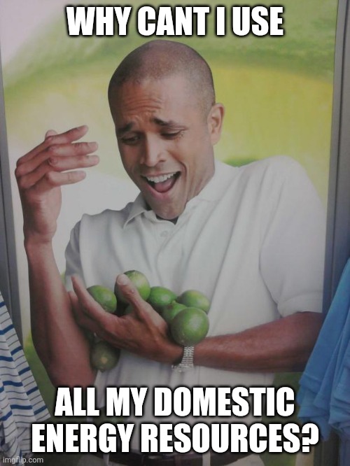 Why Can't I Hold All These Limes Meme | WHY CANT I USE ALL MY DOMESTIC ENERGY RESOURCES? | image tagged in memes,why can't i hold all these limes | made w/ Imgflip meme maker