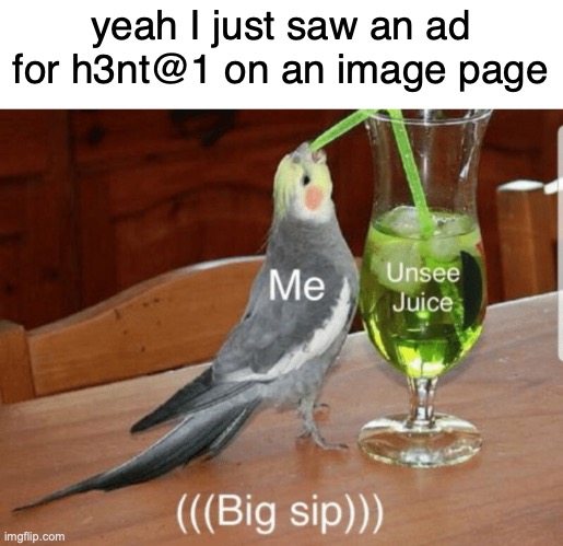 if you dont understand figure it out | yeah I just saw an ad for h3nt@1 on an image page | image tagged in unsee juice | made w/ Imgflip meme maker