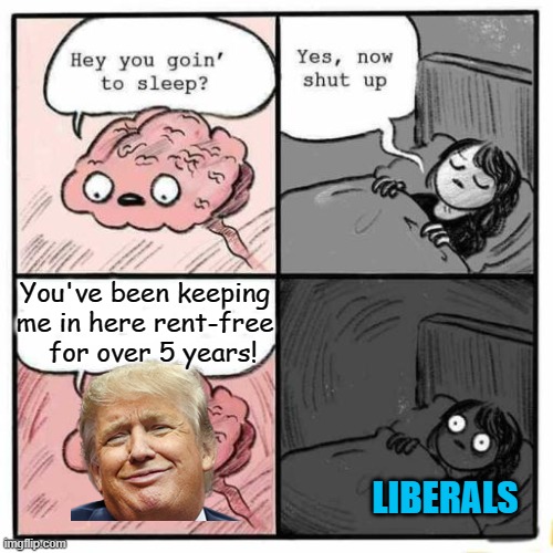 You should seriously take him to court for 100K in back rent! It's not like U haven't already pulled other fake crap like this! | You've been keeping me in here rent-free   for over 5 years! LIBERALS | image tagged in hey you going to sleep,donald trump,memes,stupid liberals | made w/ Imgflip meme maker