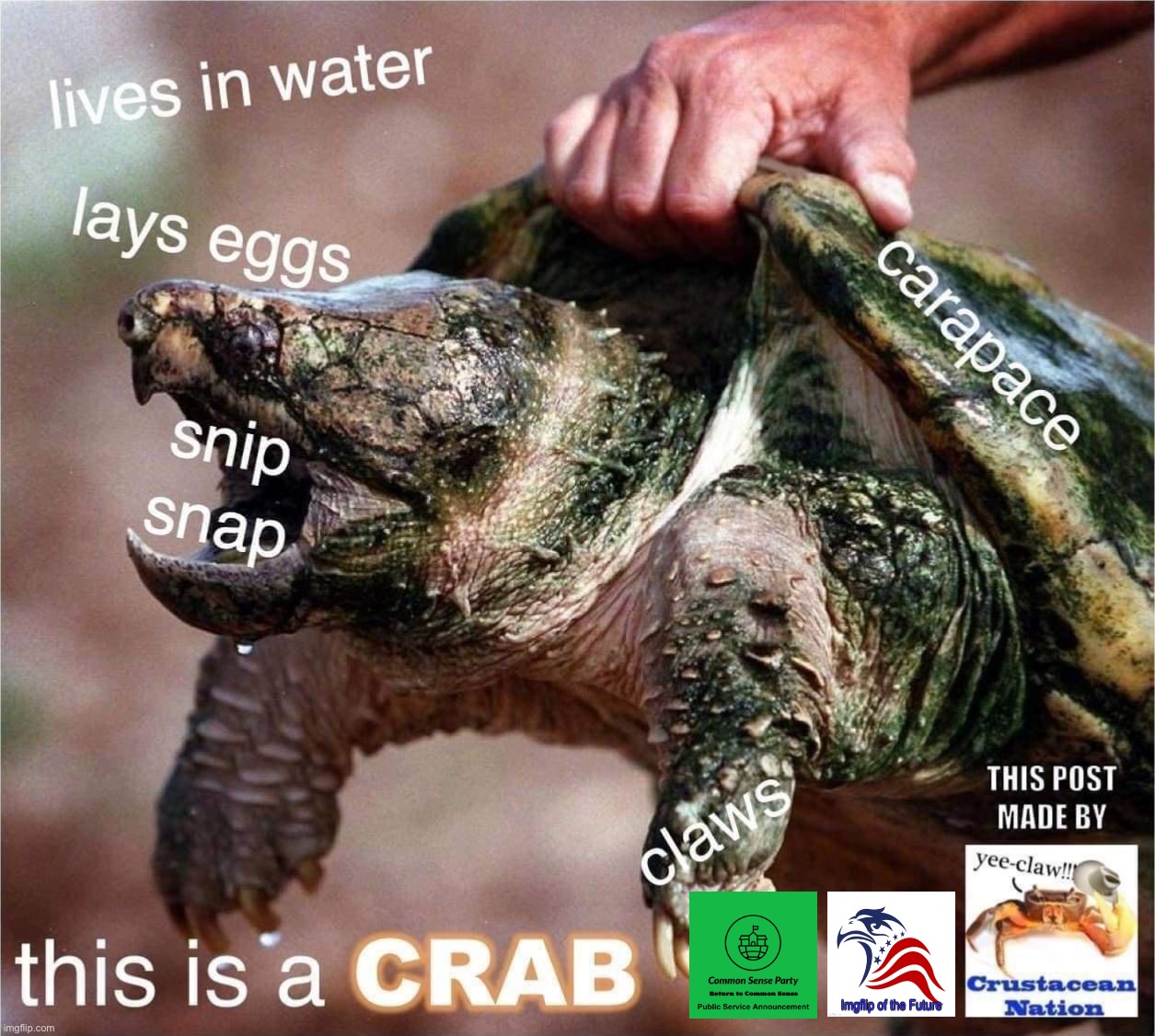 This post sponsored by Common Sense Crustaceans for America, an awareness group in partnership with CSP/IOF. #CSC4A #GetTheFacts | image tagged in common,sense,crustaceans,get,the,facts | made w/ Imgflip meme maker