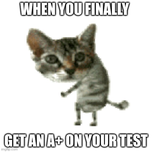 Finally | WHEN YOU FINALLY; GET AN A+ ON YOUR TEST | image tagged in funny | made w/ Imgflip meme maker