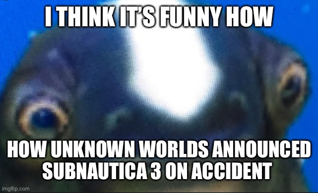 They just straight up said “we need people to work on the next subnautica game” | I THINK IT’S FUNNY HOW; HOW UNKNOWN WORLDS ANNOUNCED SUBNAUTICA 3 ON ACCIDENT | image tagged in subnautica seamoth cuddlefish | made w/ Imgflip meme maker