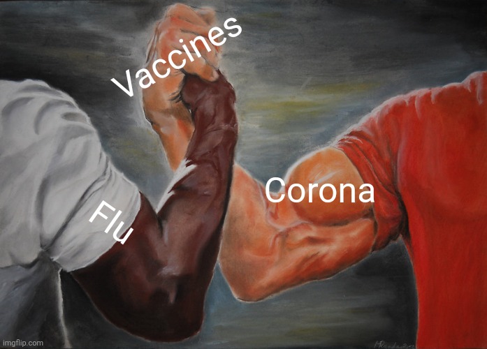 Sick or safe | Vaccines; Corona; Flu | image tagged in memes,epic handshake | made w/ Imgflip meme maker