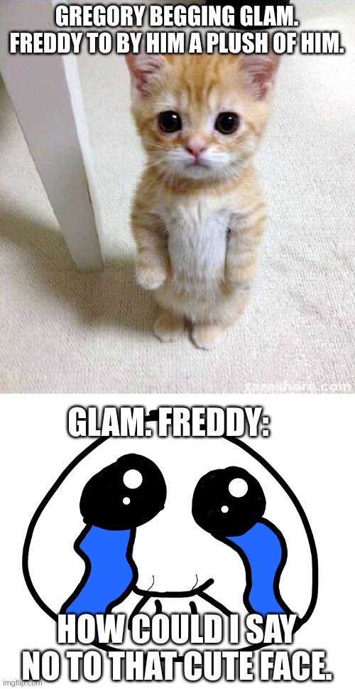 Not a Ship!!!!(at least for me) | GREGORY BEGGING GLAM. FREDDY TO BY HIM A PLUSH OF HIM. GLAM. FREDDY:; HOW COULD I SAY NO TO THAT CUTE FACE. | image tagged in memes,cute cat | made w/ Imgflip meme maker