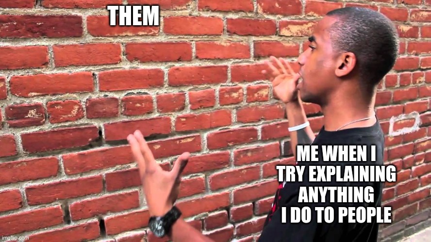 Talking to wall | THEM ME WHEN I TRY EXPLAINING ANYTHING I DO TO PEOPLE | image tagged in talking to wall | made w/ Imgflip meme maker