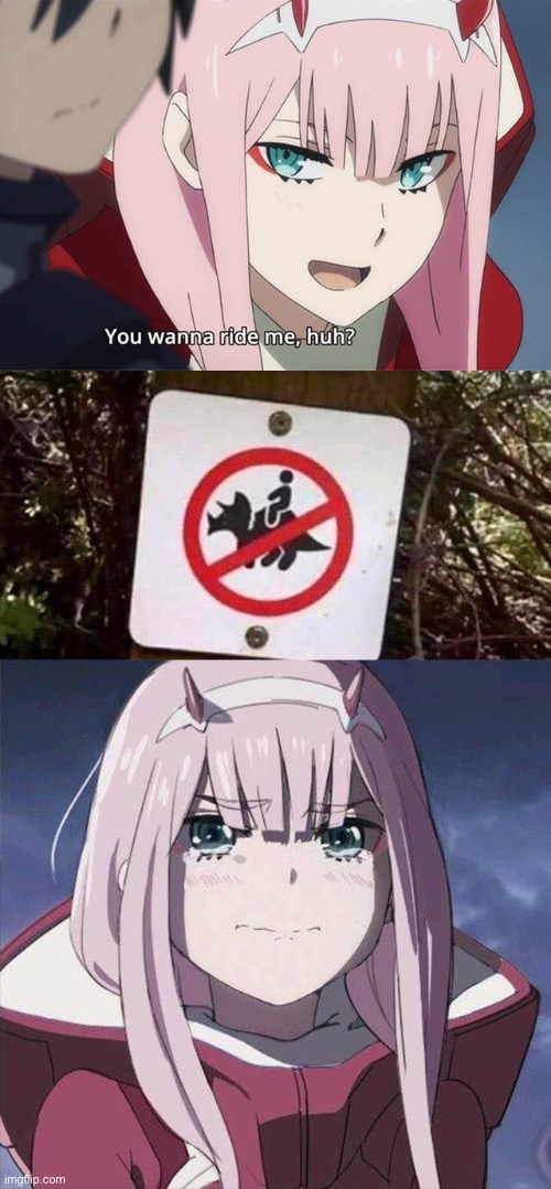 image tagged in anime,zerotwo | made w/ Imgflip meme maker