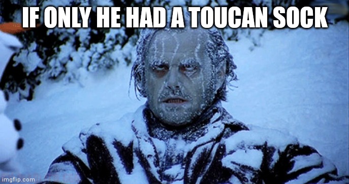 Freezing cold | IF ONLY HE HAD A TOUCAN SOCK | image tagged in freezing cold | made w/ Imgflip meme maker