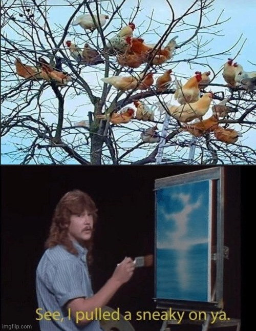 If chickens use a ladder for trees... | image tagged in i pulled a sneaky,funny,memes,animals,chickens,what is going on here | made w/ Imgflip meme maker