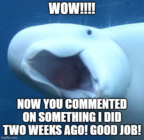 suprised beluga whale | WOW!!!! NOW YOU COMMENTED ON SOMETHING I DID TWO WEEKS AGO! GOOD JOB! | image tagged in suprised beluga whale | made w/ Imgflip meme maker