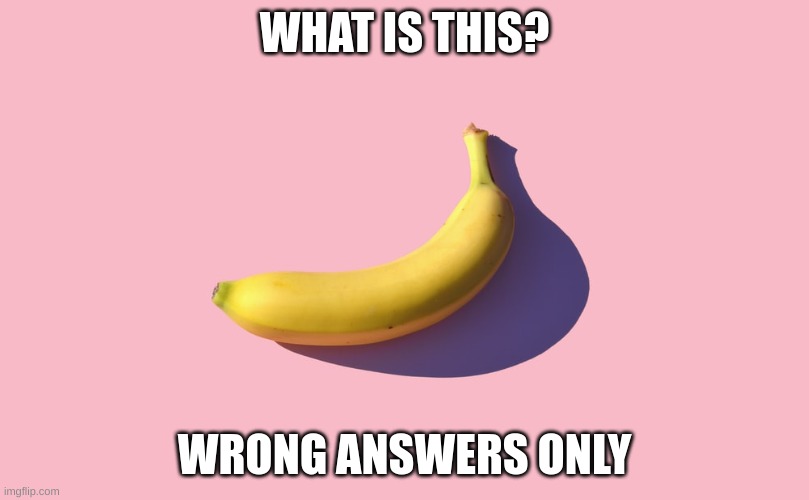 WHAT IS THIS? WRONG ANSWERS ONLY | made w/ Imgflip meme maker
