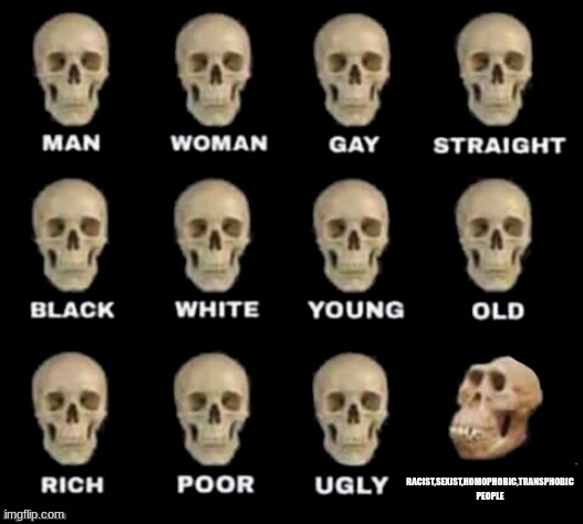 idiot skull | RACIST,SEXIST,HOMOPHOBIC,TRANSPHOBIC PEOPLE | image tagged in idiot skull | made w/ Imgflip meme maker