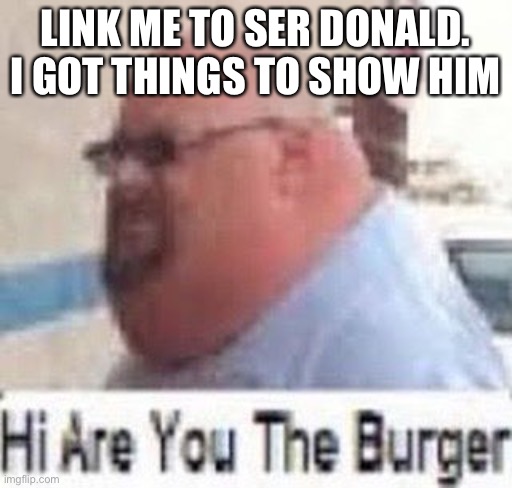Hi are you the burger | LINK ME TO SER DONALD. I GOT THINGS TO SHOW HIM | image tagged in hi are you the burger | made w/ Imgflip meme maker