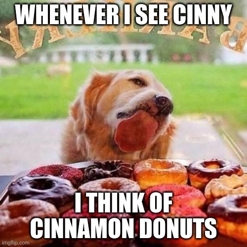 i mean,.. you know | WHENEVER I SEE CINNY; I THINK OF CINNAMON DONUTS | image tagged in dog donuts | made w/ Imgflip meme maker