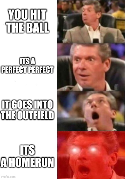 Mr. McMahon reaction | YOU HIT THE BALL; ITS A PERFECT PERFECT; IT GOES INTO THE OUTFIELD; ITS A HOMERUN | image tagged in mr mcmahon reaction | made w/ Imgflip meme maker