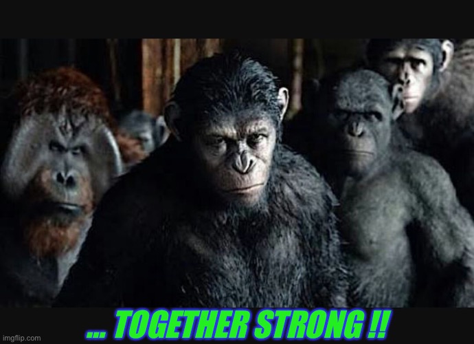 PLANET OF THE APES 2 | … TOGETHER STRONG !! | image tagged in planet of the apes 2 | made w/ Imgflip meme maker