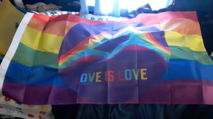 I Got My Own Pride Flag!!!! | image tagged in lgbtq,gay pride,gay pride flag,memes | made w/ Imgflip meme maker