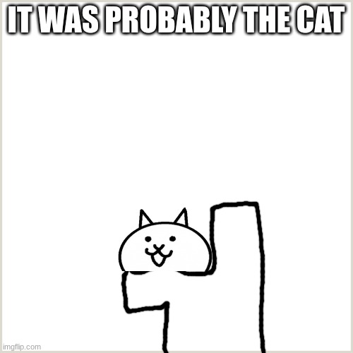 Blank Background | IT WAS PROBABLY THE CAT | image tagged in blank background | made w/ Imgflip meme maker