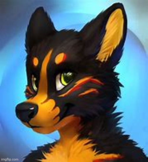 Furry art | image tagged in furry art | made w/ Imgflip meme maker