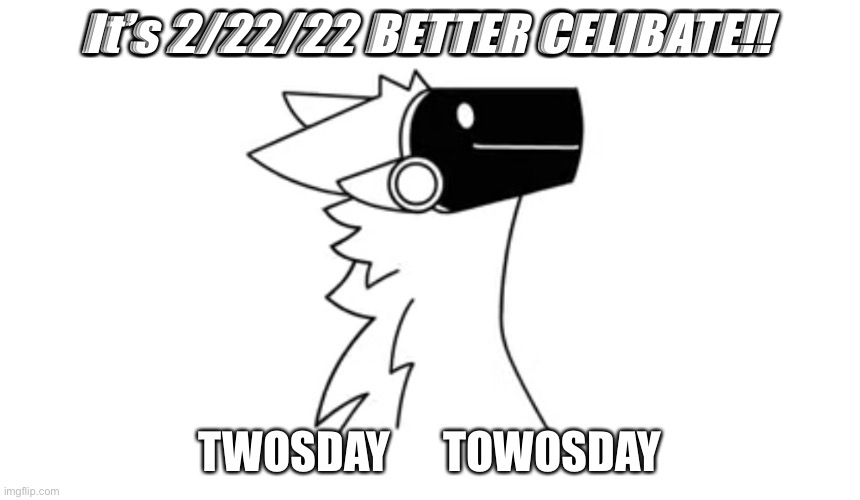 Twosday | It’s 2/22/22 BETTER CELIBATE!! TWOSDAY      TOWOSDAY | image tagged in protogen | made w/ Imgflip meme maker