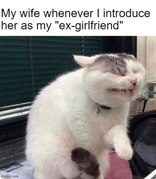 Get some new material | My wife whenever I introduce her as my "ex-girlfriend" | image tagged in memes,marriage | made w/ Imgflip meme maker